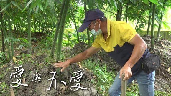 愛與不愛 My Parents