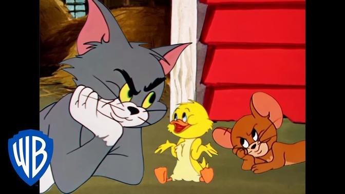 Tom & Jerry | Quack, Quack, Little Quacker! | Classic Cartoon ...