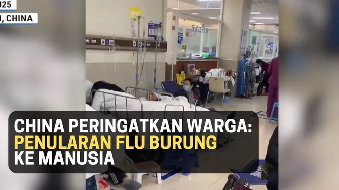 China Memperingatkan Warganya Akan Infeksi Flu Burung ke Manusia