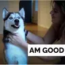 Pet and Life