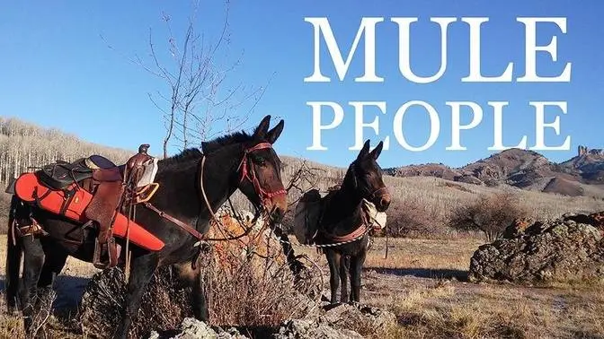 Mule People