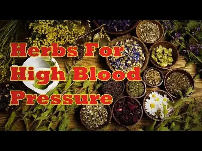 Best Herbs Good For High Blood Pressure