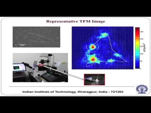 Mod-01 Lec-46 Biomicrofluidics