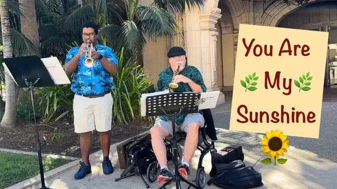 You Are My Sunshine & Pachabel's Cannon - Lovely #streetmusic