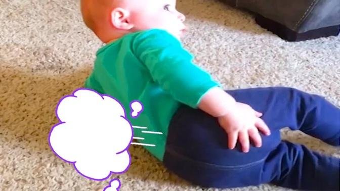 Lovely Moments When Babies Fart - WE LAUGH | Videos | Funny Reaction of ...