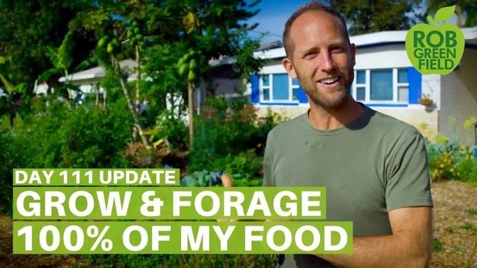 Growing and Foraging 100% of My Food - Day 111 Update
