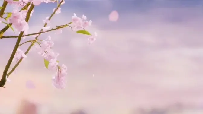 Cánh hoa đào rơi: Những cánh hoa đào rơi làm nên một câu chuyện mỹ thuật đầy cảm hứng, gợi lên tình yêu và lòng trắc ẩn.