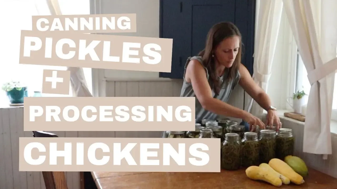 Processing Chickens + Canning Pickles | Teaching Self-Sufficiency Skills