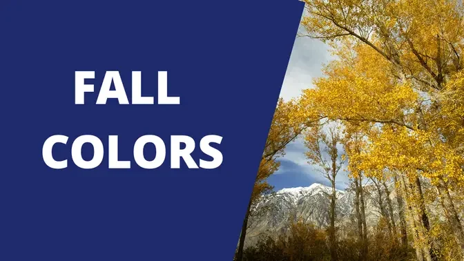 Best State Parks To View Fall Foliage Colors