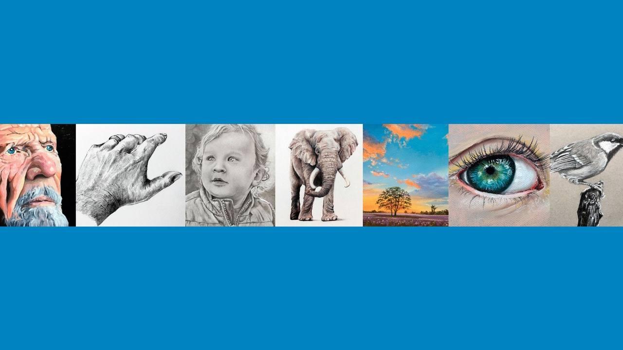 Drawing & Painting The Virtual Instructor