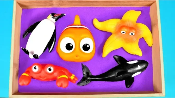 Sea Animal Toys for Kids - Learn Wild Animals Names - Sea Animals Videos  for Children
