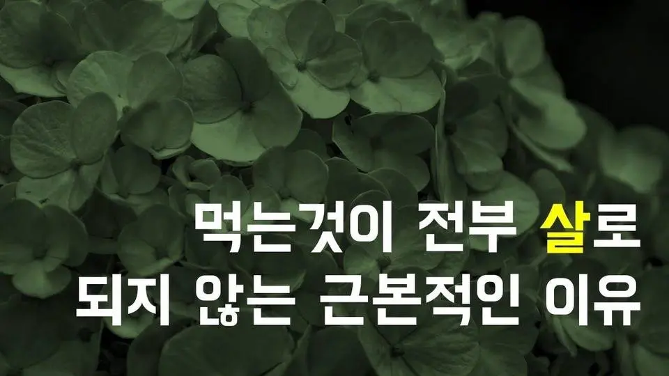 먹는 만큼 살이 찌지 않는 이유
