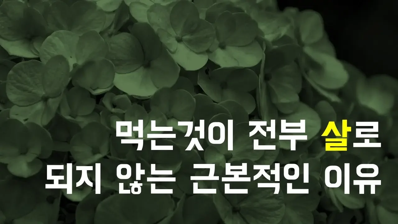 먹는 만큼 살이 찌지 않는 이유