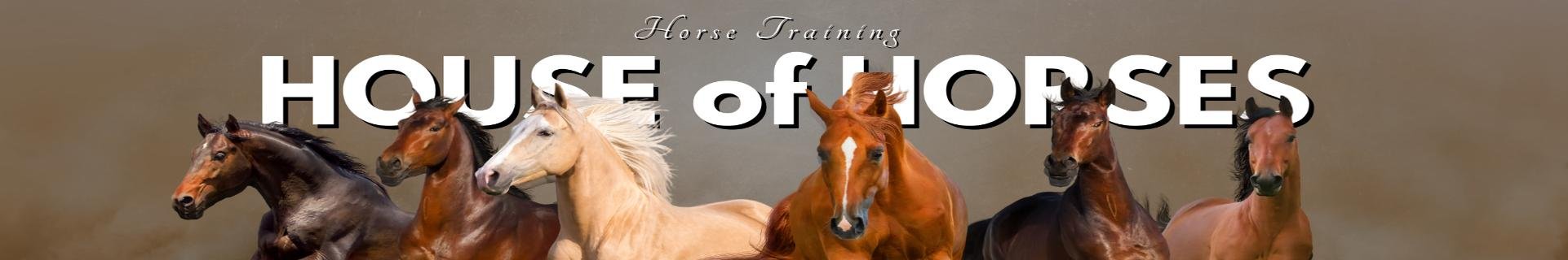 House of Horses