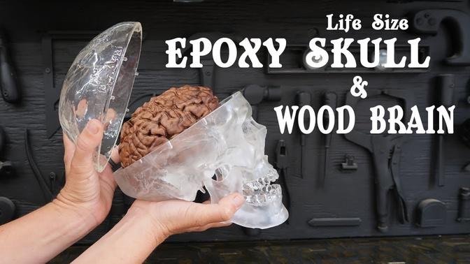 Epoxy Skull with Wood Brain