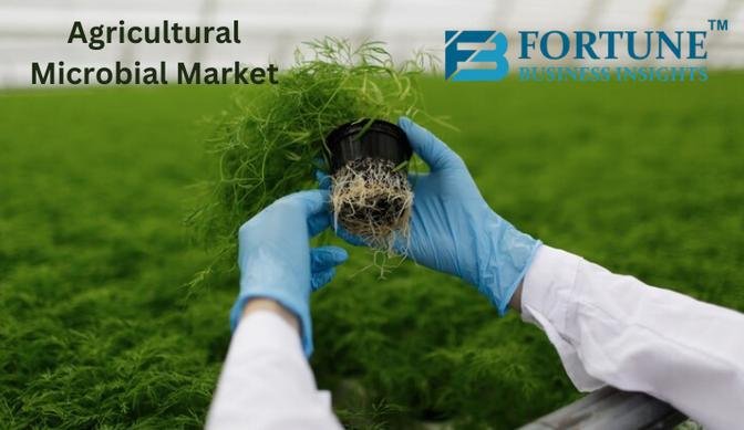 Agricultural Microbials Market Opportunities Size, Share, and Industry Growth, 2024-2032