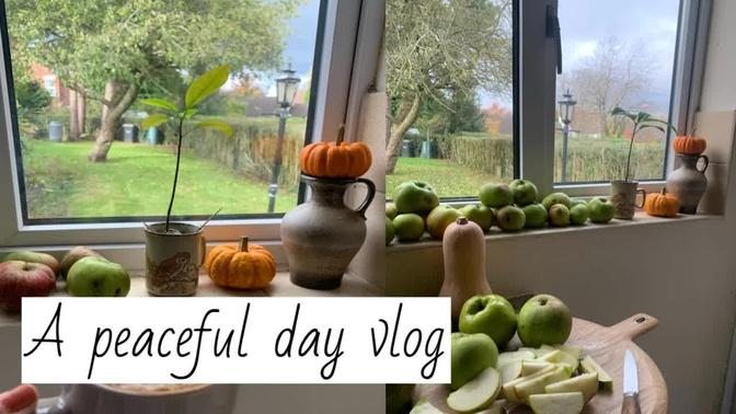 Peaceful day in my life ｜ Slow living ｜ silent Vlog ｜ My simple joys