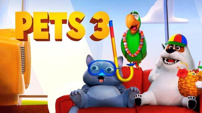 Pets 3