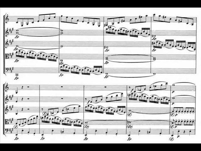 Mozart clarinet quintet K. 581 in A major [1/4] Allegro