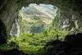 wonderful nature