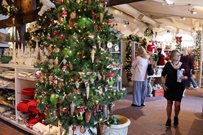 橙县两花园节日气氛浓 业者谈如何选购圣诞树