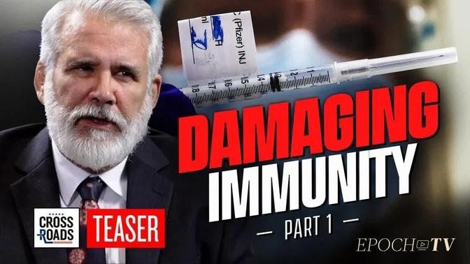 Vaccines Are Destroying People's Immunity Through 'Immune Imprinting': Dr. Robert Malone | Teaser