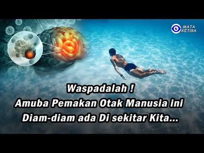 Waspadalah !Amuba Pemakan Otak Manusia ini Diam-diam ada Di sekitar Kita…