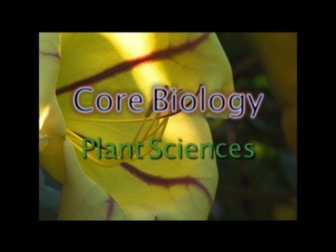Core Biology: Plant Sciences (Accessible Preview)