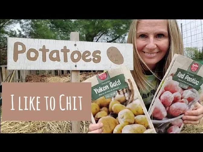 Ruth Stout Method | Planting Potatoes | Do you Chit your Potatoes?