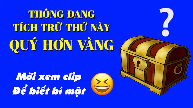 😆 Thông đang tích trữ thứ này, quý hơn vàng. Mời xem clip để biết bí mật đó là gì! - Bách Thông