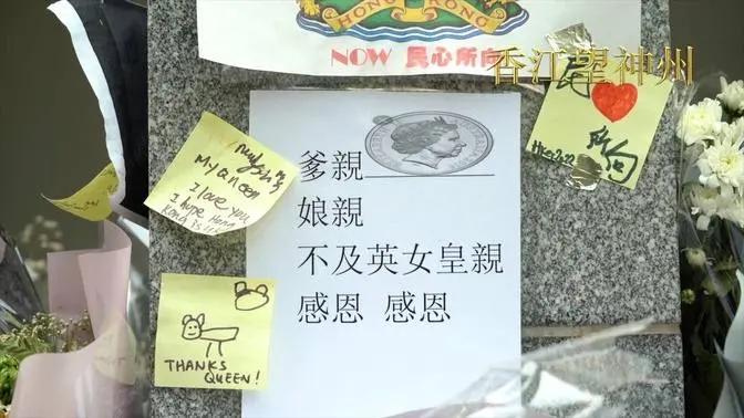 80後Cat帶幼子悼念英女王：想身教兒子感受英治時期為香港帶來美好