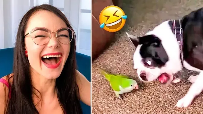 Funniest Cats And Dogs Videos 😸🐶 - Best Cute And Funny Animals 🥰.