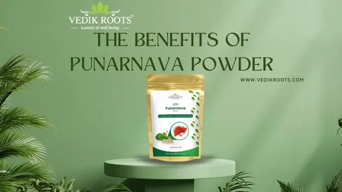 The Benefits of Punarnava Powder