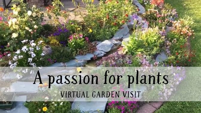 Ansley Gardens, Warwickshire; a passion for plants
