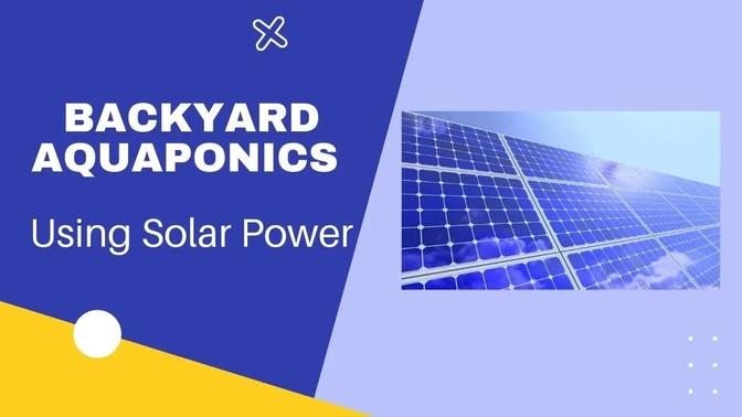 Backyard Aquaponics Using Solar Power - Expert Tips And Tricks