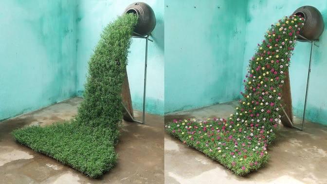 DIY A Beautiful Waterfall Garden Growing Portulaca (Mossrose)