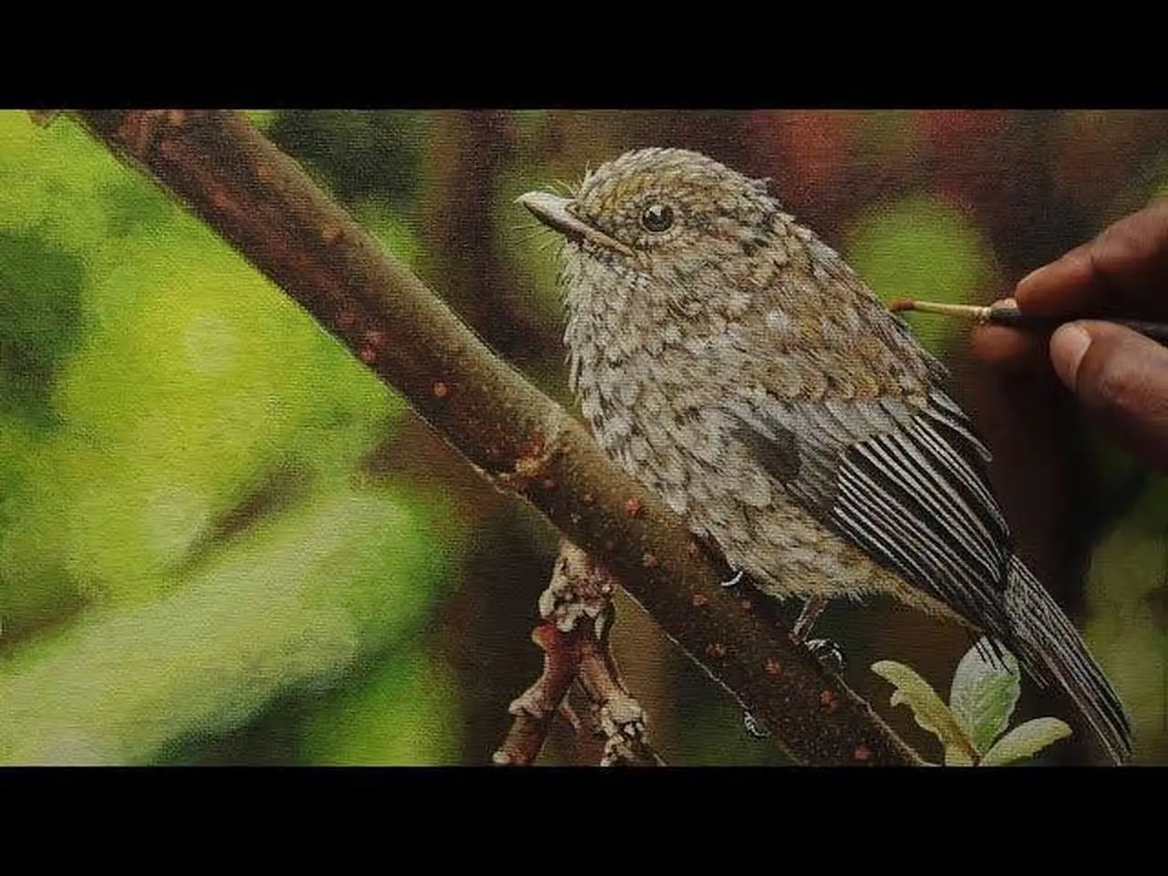 如何用壓克力畫鳥