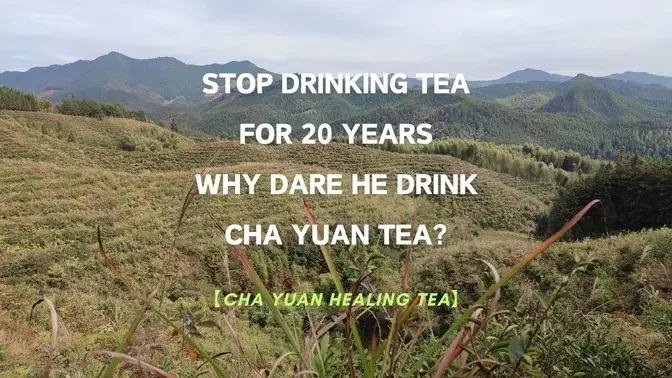 Not drinking tea for 20 years, why is he drinking Cha Yuan Tea?