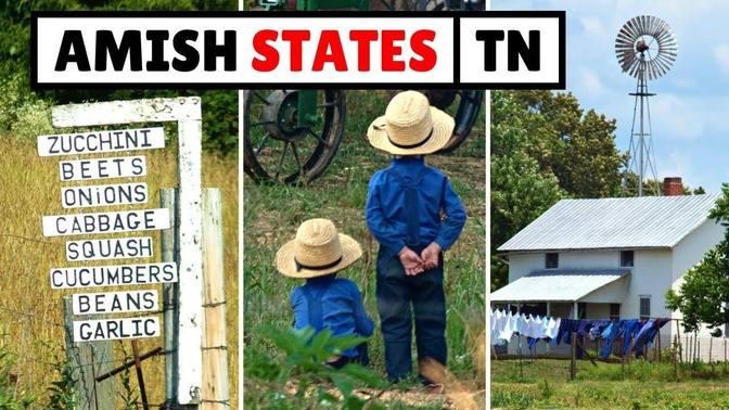 The Amish in Tennessee (12+ Communities) | Videos | Amish America | Gan ...