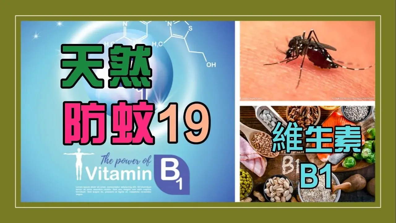 【天然 防蚊液】DIY維生素 B1防蚊液，其氣味讓蚊子不敢靠近，具防蚊效果 ！ |天然 防蚊方法 | 防 蚊 水|防蚊液DIY 簡單天然無負擔