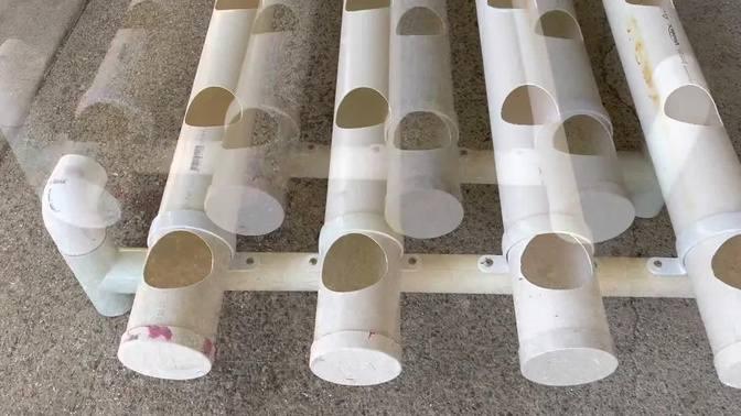 Planting hydroponic strawberry flood and drain system.