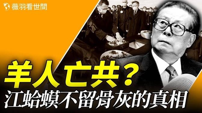 周劉鄧江為何將骨灰撒入大海？江澤民為何偷抄地藏經？九華山高僧一句話洩漏天機。｜薇羽看世間 20250601