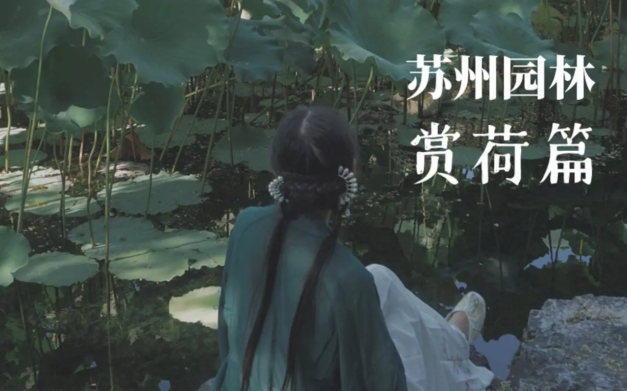 苏州园林之拙政园｜人间忽晚，荷花近秋。