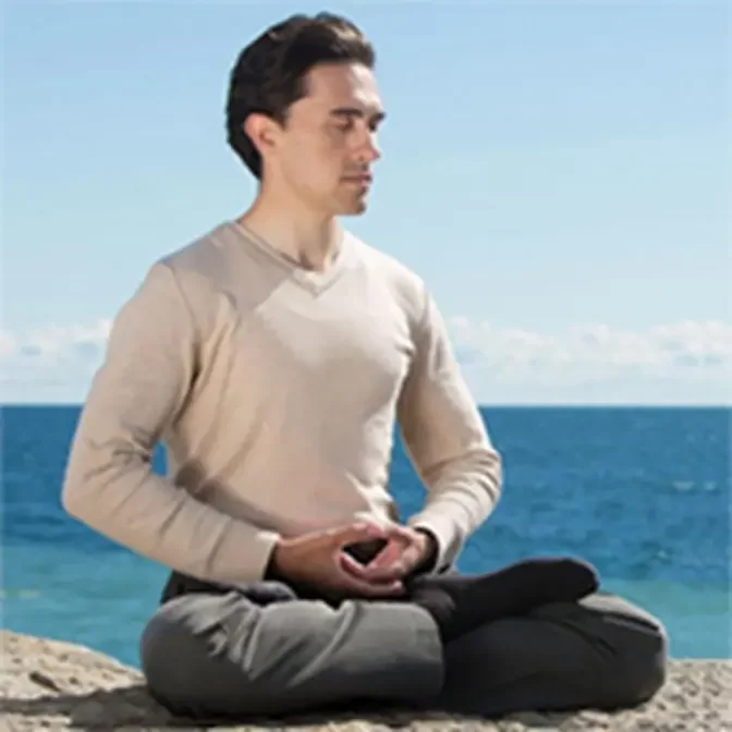 Learn Falun Gong Online