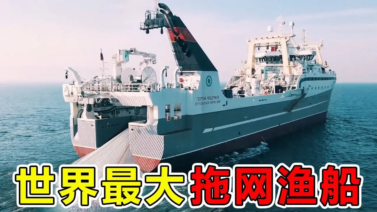 欣賞世界上“最巨大”的拖網漁船，長144.6米寬24米，一次捕撈8000噸魚獲，號稱海洋第一殺手#科技#科普#捕鱼#超級工廠#大脑洞记事#世界之最TOP #出類拔萃 #腦洞大開 #top10