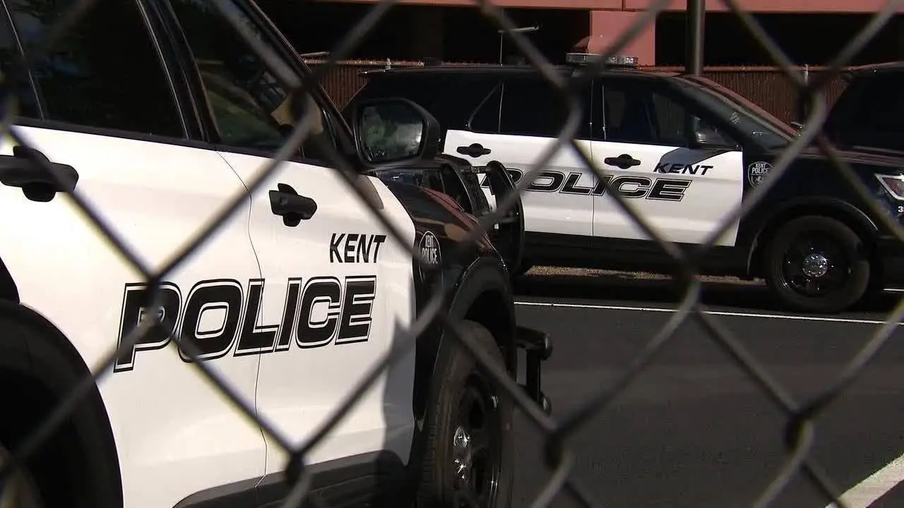 Armed carjacking ring targeting south King County drivers, court docs say