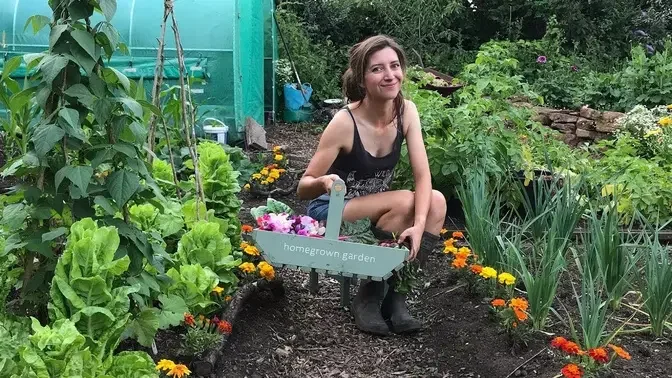 July Allotment Tour & Harvest 2019 / Homegrown Garden