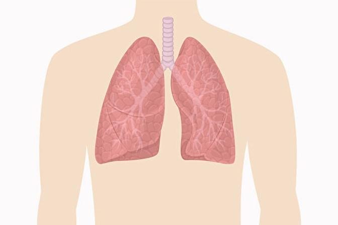 2方法看出你肺功能好坏 医师让肺变好的秘诀