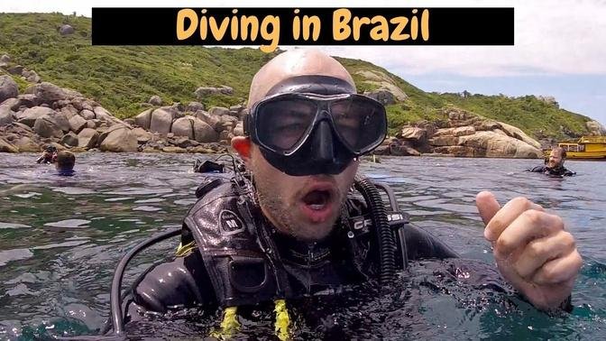 Best Place To Scuba Dive In Brazil? Arvoredo Island, Florianópolis