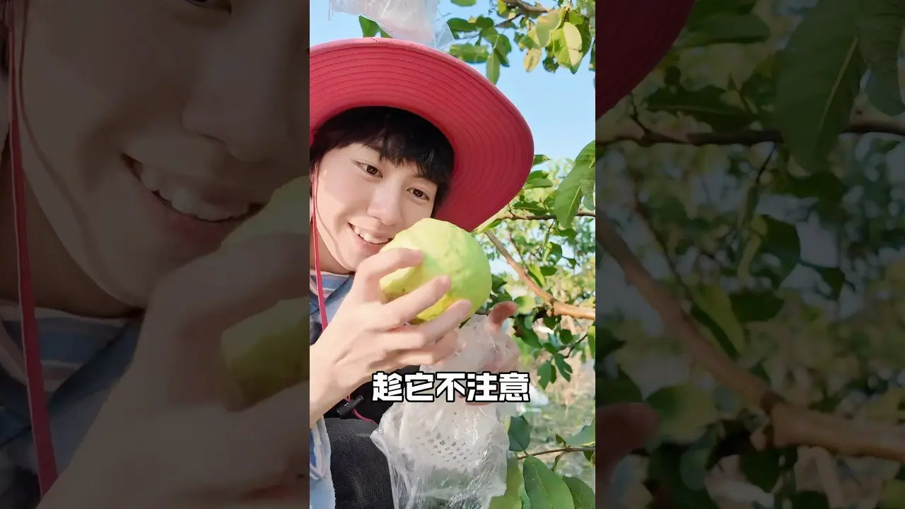 我去高雄啦！超愛農遊風格的旅程～👏#台湾日常 #台灣 #熱門 #旅遊 #高雄 #高雄大樹區
